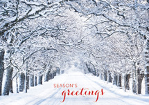Crystal Lane Holiday Cards