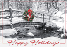 All Natural Holiday Cards