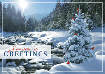 Sweet Seclusion Holiday Cards