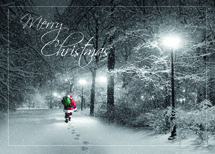 Special Delivery Christmas Cards