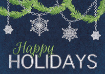 Dazzling Array Holiday Cards